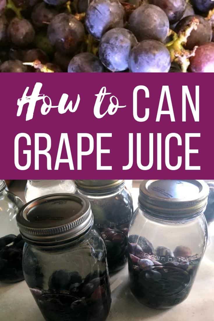 Grape Juice - Healthy Canning in Partnership with Canning for