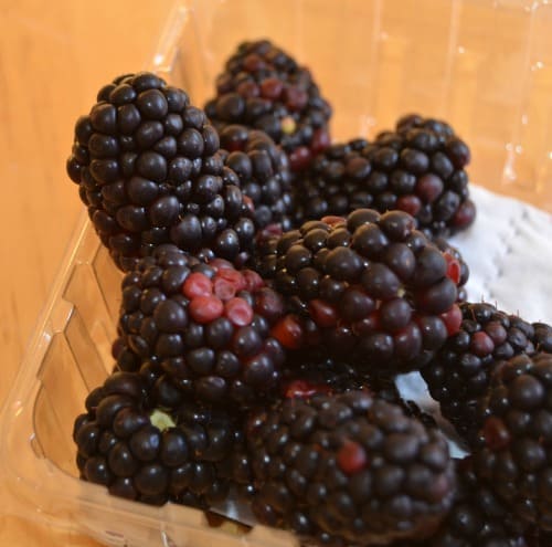 Organic blackberries