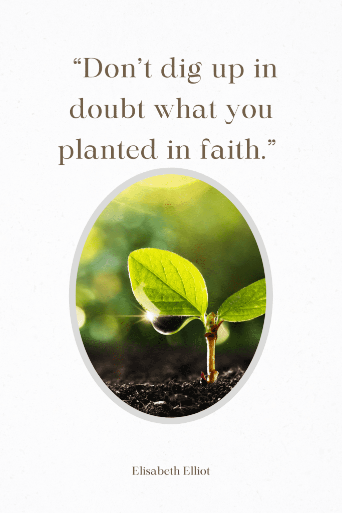circle photo of small plant growing with quote "don't dig up in doubt what you planted in faith" 