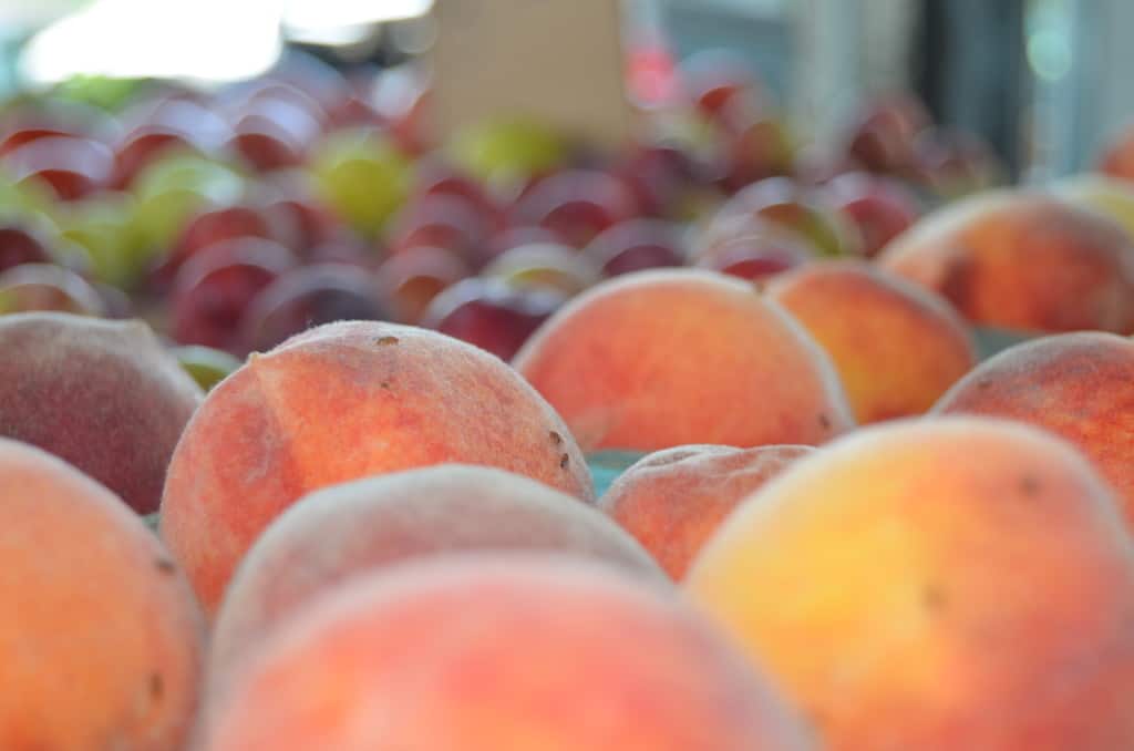 fresh peaches