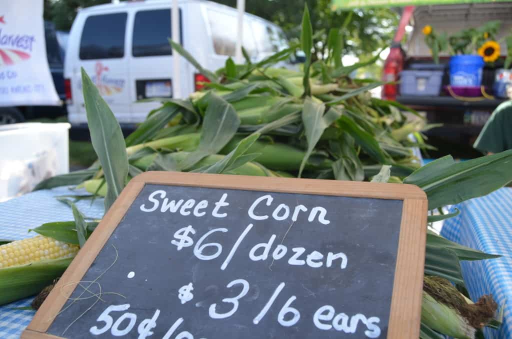 sweet corn 