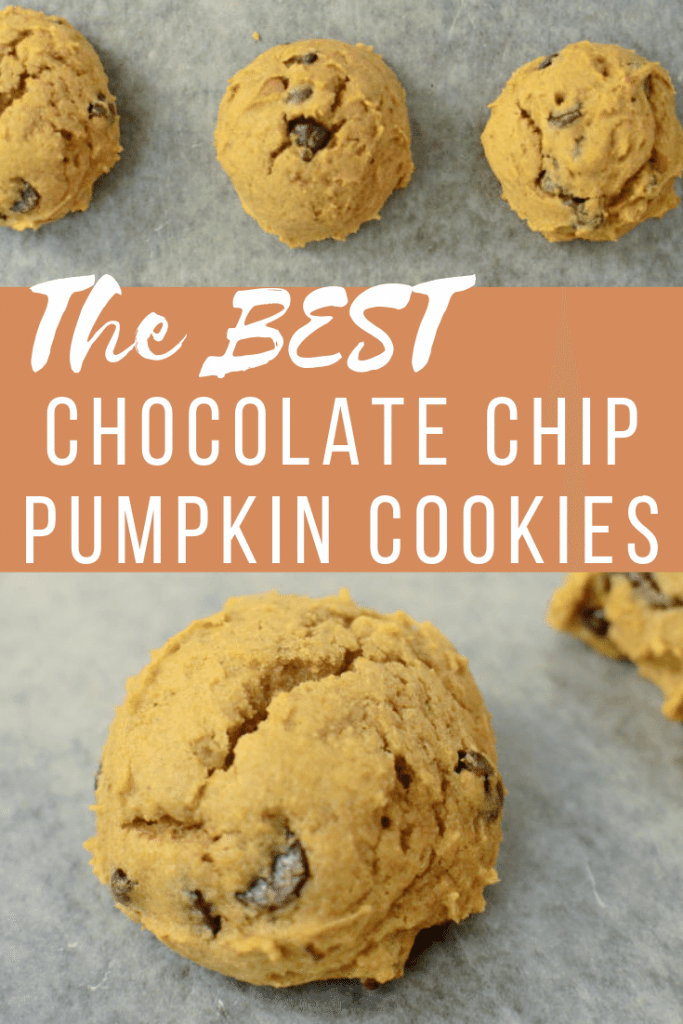 The BEST Pumpkin Chocolate Chip Cookies