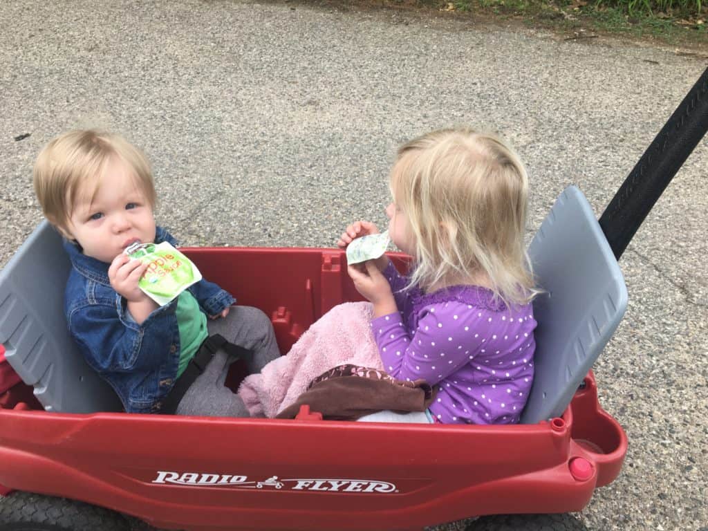 kids in the wagon