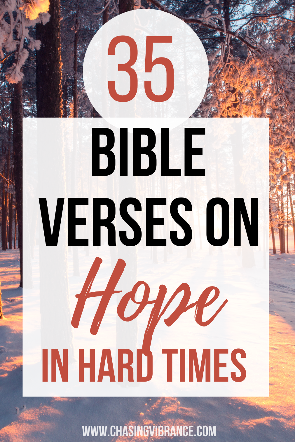 35 Bible Verses About Hope in Hard Times