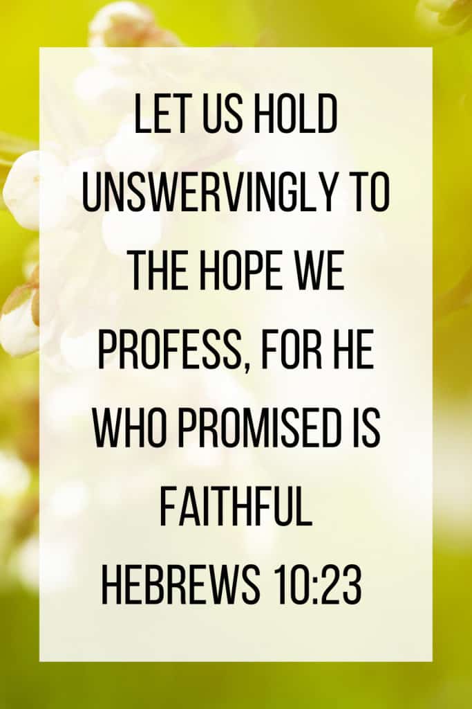 "let us hold unswervingly to the faith we profess, for he who promised is faithful" quote with floral background