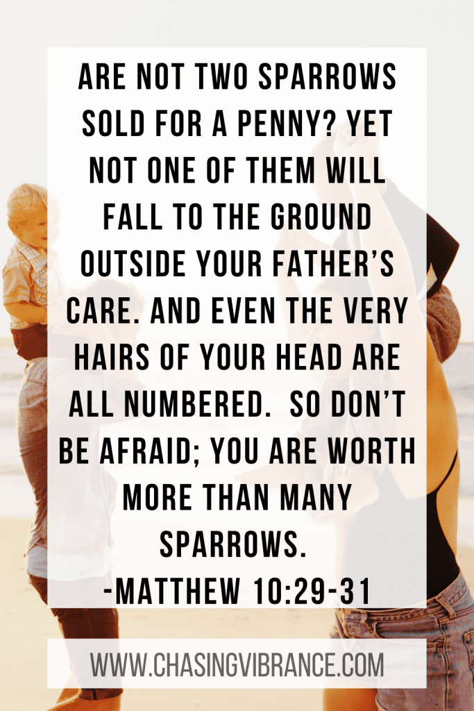 two sparrows Bible verse