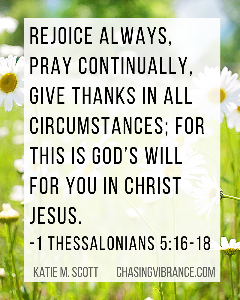 Close up of white daisies in a green field of flowers with 1 Thessalonians 5:16-18 in text overlay. Rejoice always, pray continually, give thanks in all circumstances. 