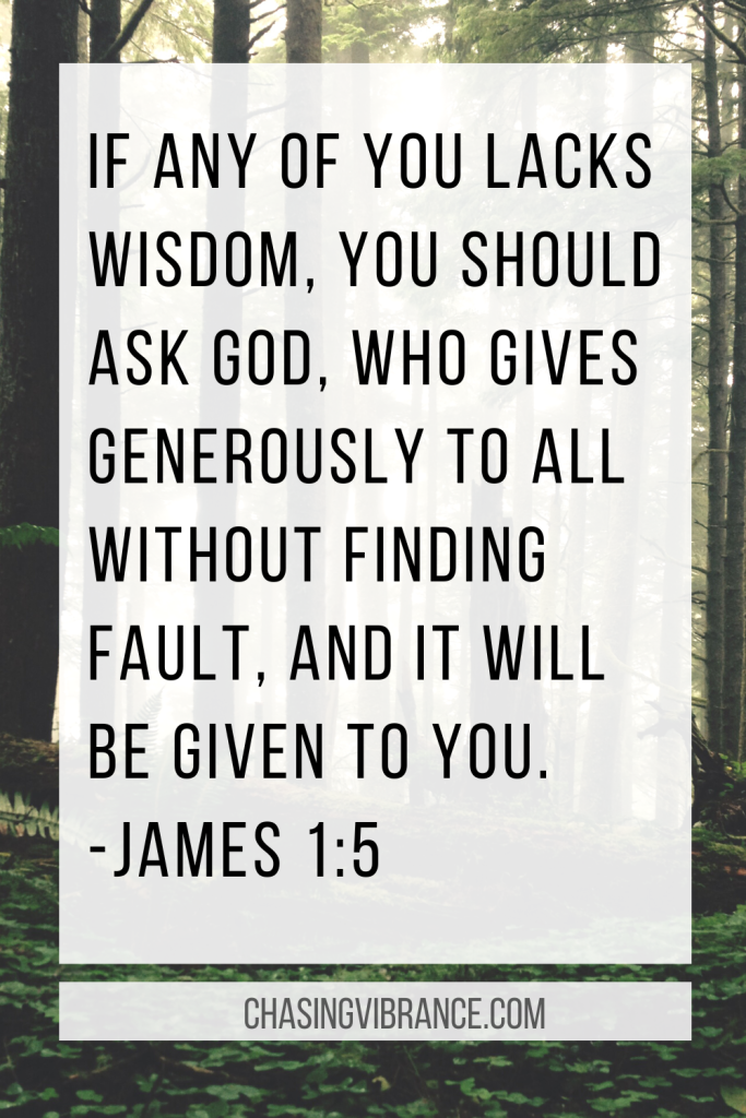 James 1:5 Bible verses text overlay with trees in the wilderness in background