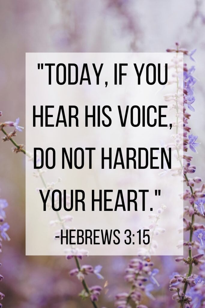Bible verse about surrender Hebrews 3:15 on background of a beautiful lavender plant