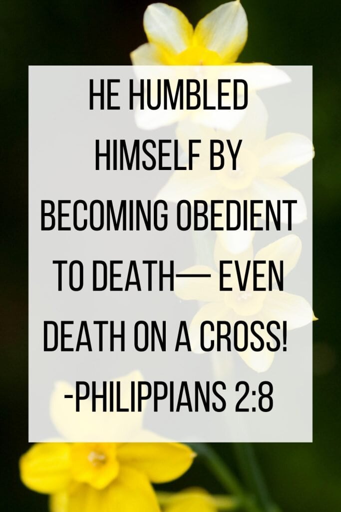 Philippians 2:8 Bible verse about Jesus death on background of daffodils against dark sky